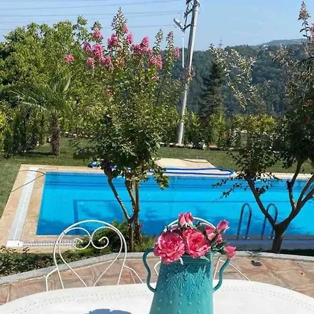 Grande Albero Villa *