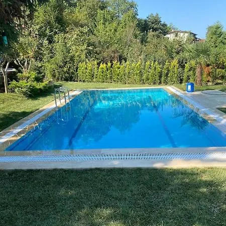 Villa Grande Albero