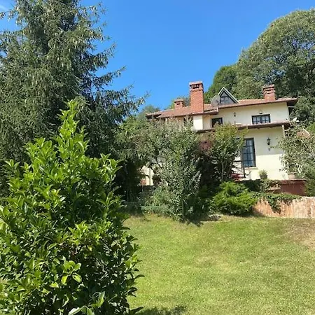 Grande Albero Villa Sapanca