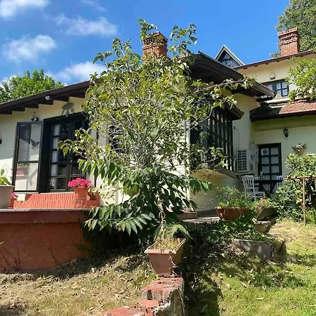 Grande Albero Villa