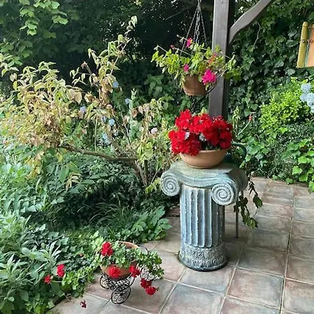 Villa Grande Albero