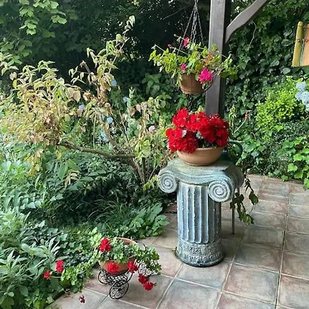Villa Grande Albero