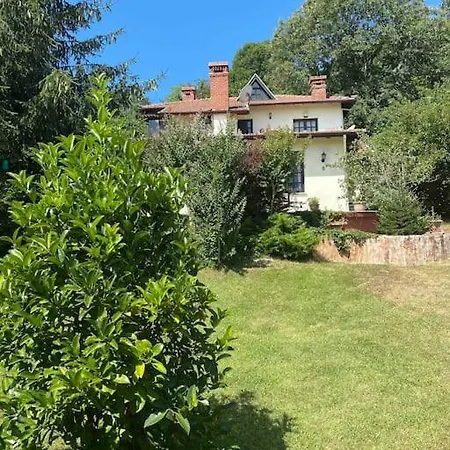 Villa Grande Albero *