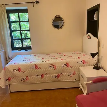 Grande Albero Villa