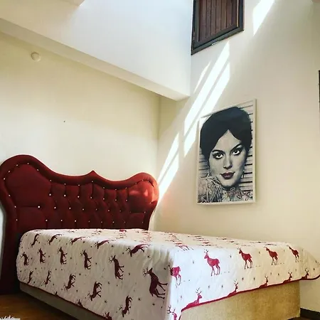 Grande Albero Villa